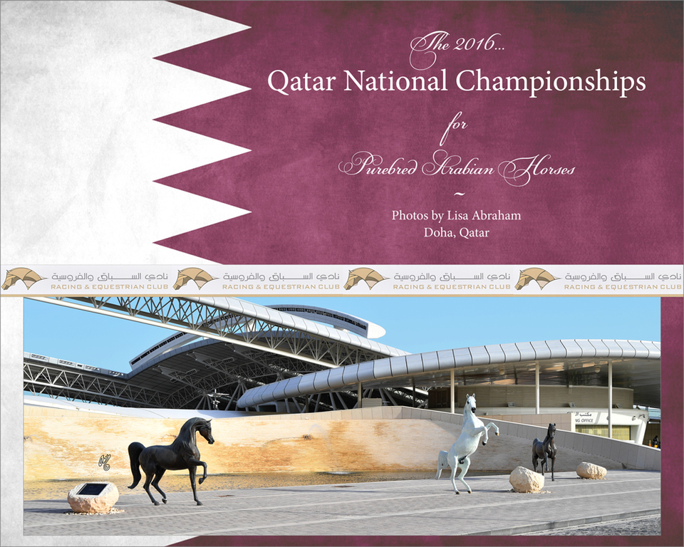 Lisa Abraham: 2016 Qatar Nationals for Purebred Arabian Horses Photo Gallery