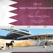 Lisa Abraham: 2016 Qatar Nationals for Purebred Arabian Horses Photo Gallery