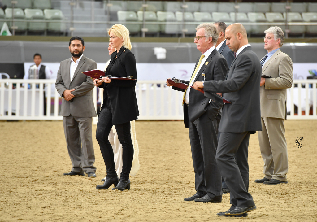 Lisa Abraham: 2016 Qatar Nationals for Purebred Arabian Horses Photo Gallery