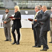 Lisa Abraham: 2016 Qatar Nationals for Purebred Arabian Horses Photo Gallery