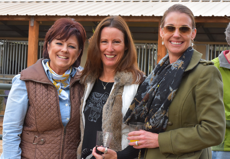 2017 Arabhorse Farm Tour Photos