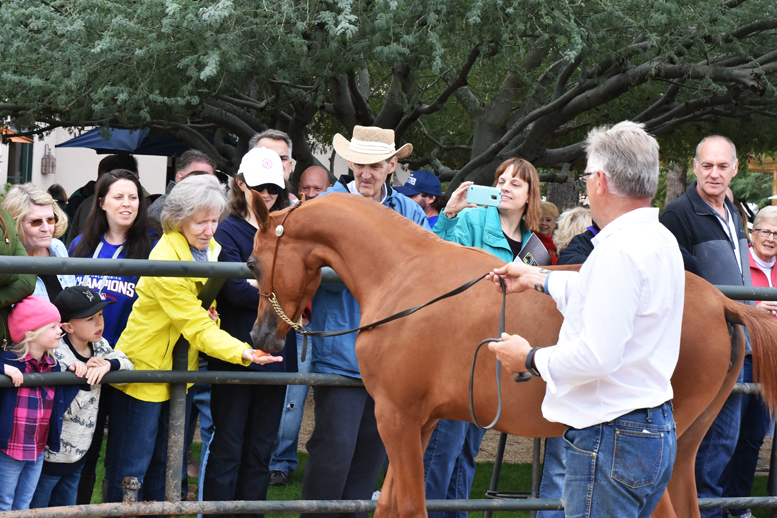 2017 Arabhorse Farm Tour Photos