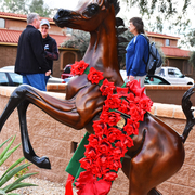 2017 Arabhorse Farm Tour Photos