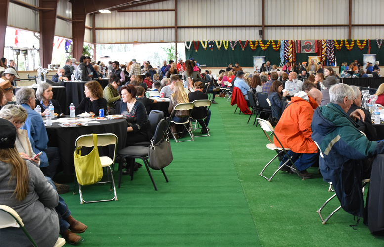 2017 Arabhorse Farm Tour Photos