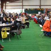 2017 Arabhorse Farm Tour Photos