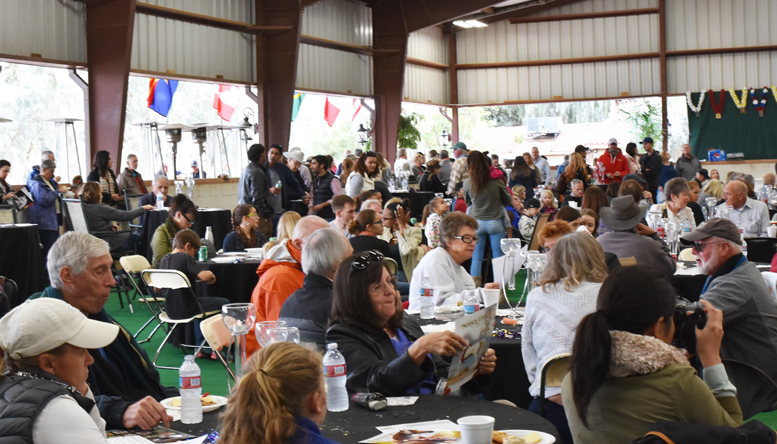 2017 Arabhorse Farm Tour Photos