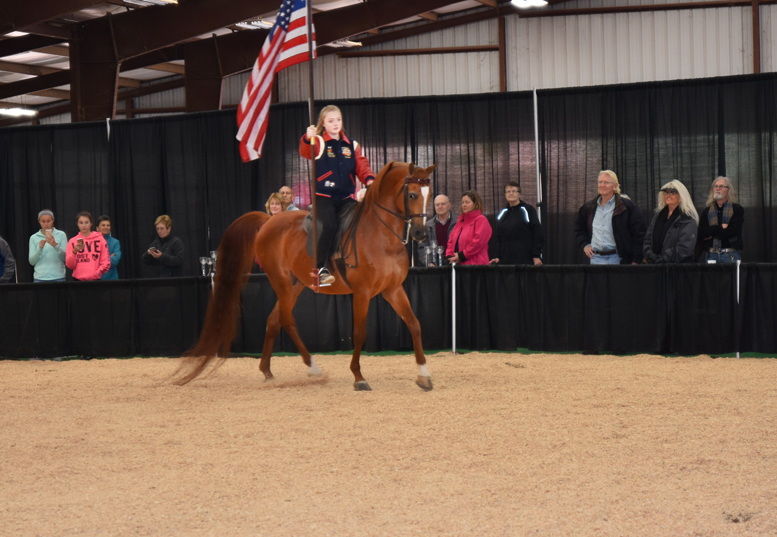 2017 Arabhorse Farm Tour Photos