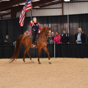 2017 Arabhorse Farm Tour Photos