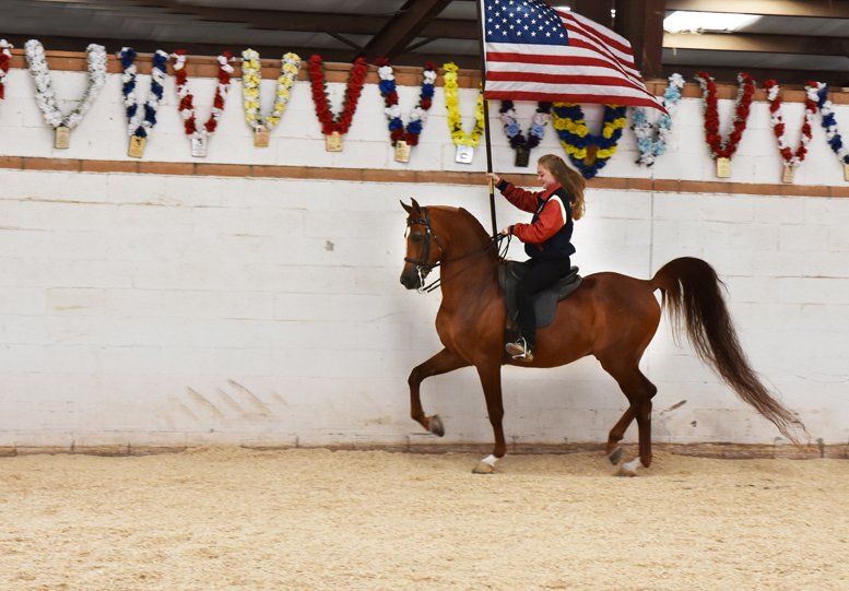 2017 Arabhorse Farm Tour Photos