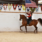 2017 Arabhorse Farm Tour Photos