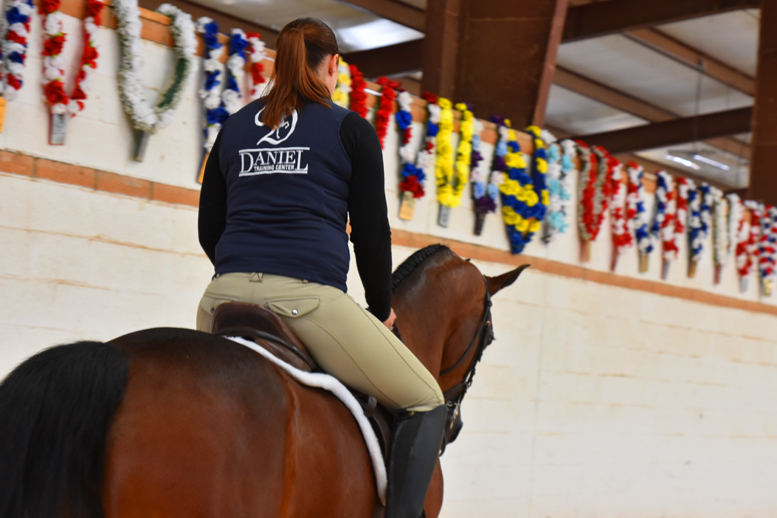 2017 Arabhorse Farm Tour Photos