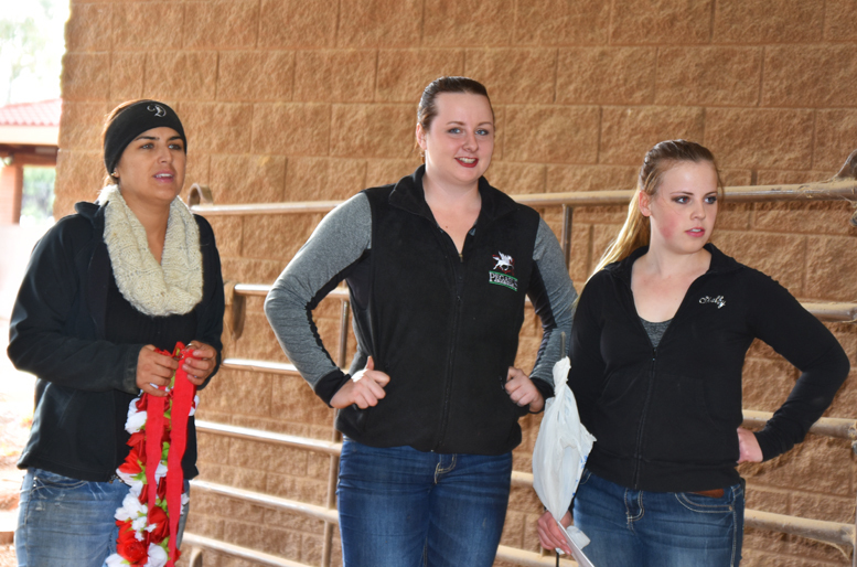 2017 Arabhorse Farm Tour Photos