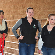 2017 Arabhorse Farm Tour Photos