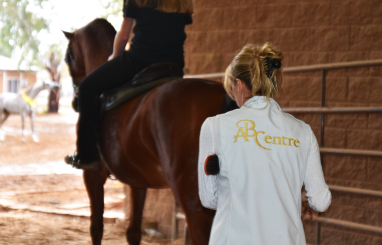 2017 Arabhorse Farm Tour Photos