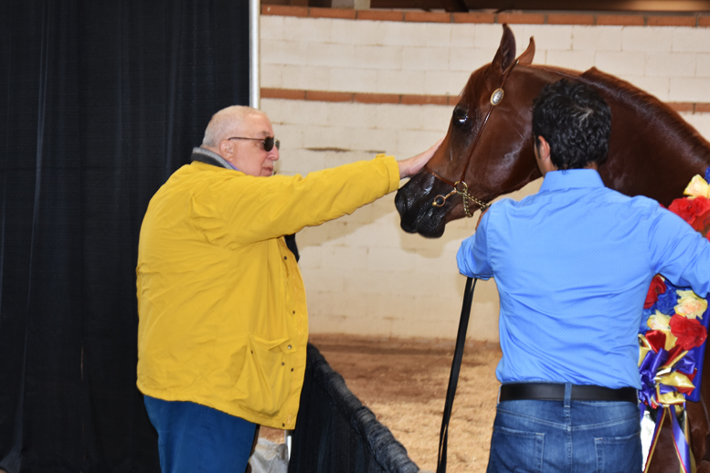 2017 Arabhorse Farm Tour Photos