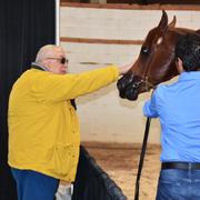 2017 Arabhorse Farm Tour Photos