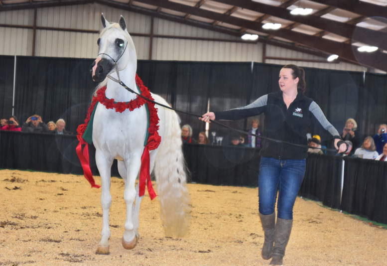 2017 Arabhorse Farm Tour Photos