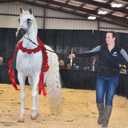 2017 Arabhorse Farm Tour Photos