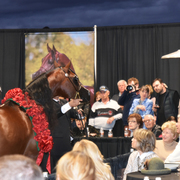 2017 Arabhorse Farm Tour Photos