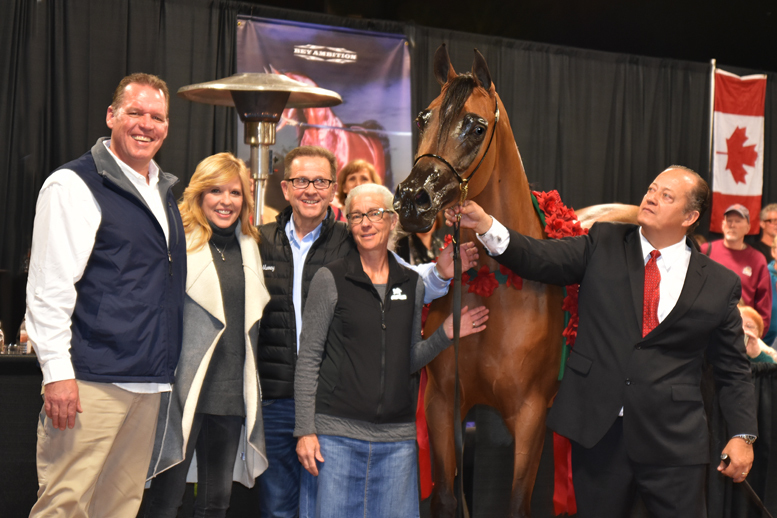 2017 Arabhorse Farm Tour Photos