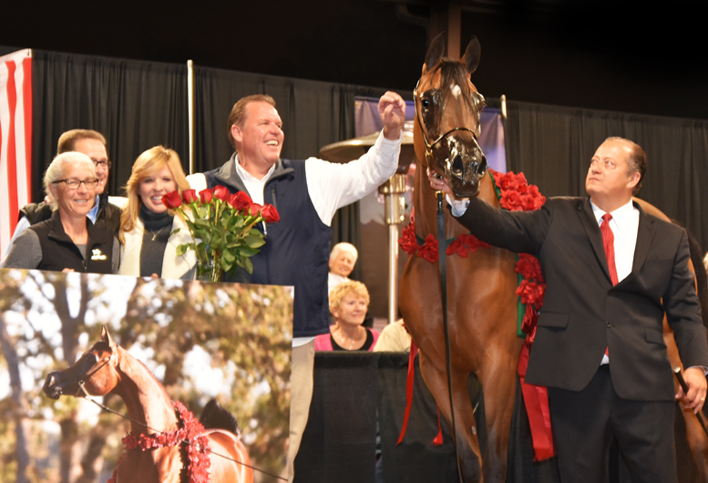 2017 Arabhorse Farm Tour Photos