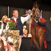 2017 Arabhorse Farm Tour Photos