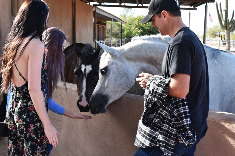 2017 Arabhorse Farm Tour Photos