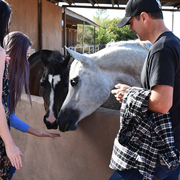 2017 Arabhorse Farm Tour Photos