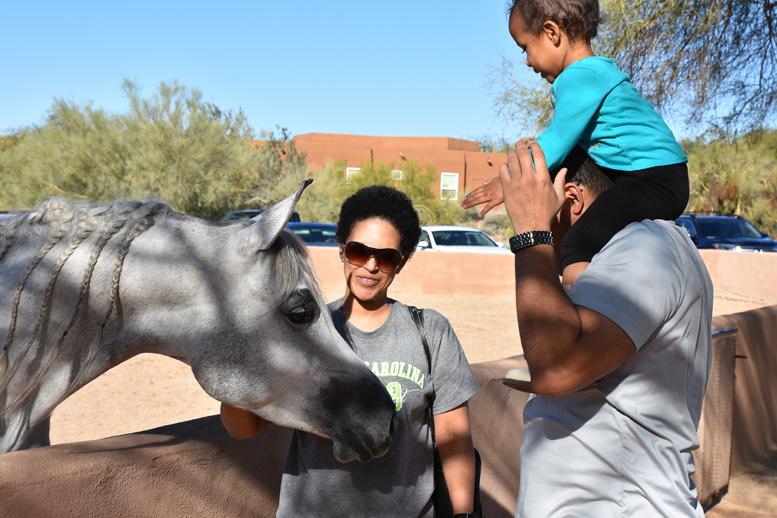 2017 Arabhorse Farm Tour Photos