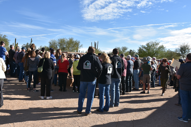 2017 Arabhorse Farm Tour Photos