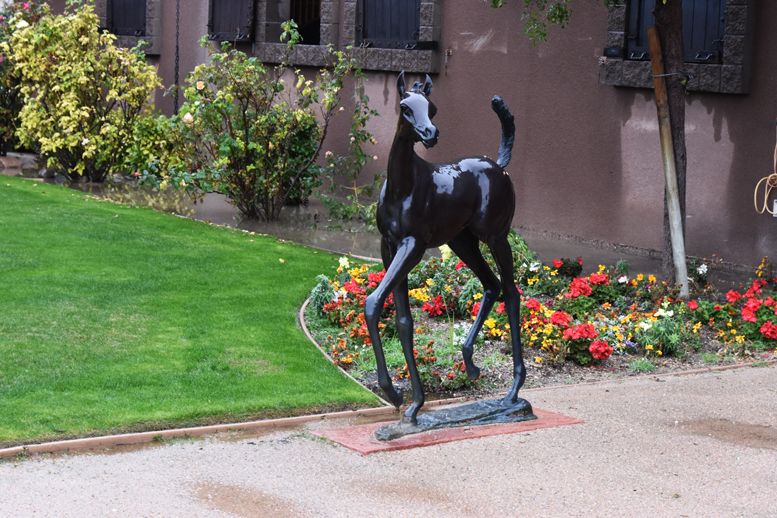 2017 Arabhorse Farm Tour Photos