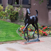 2017 Arabhorse Farm Tour Photos