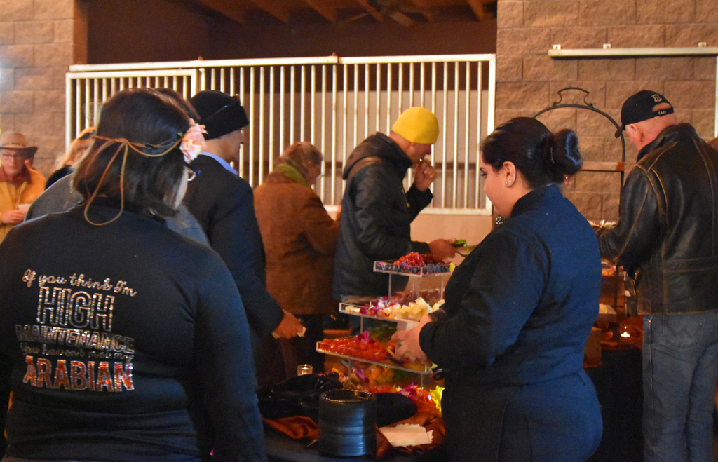 2017 Arabhorse Farm Tour Photos