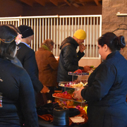 2017 Arabhorse Farm Tour Photos