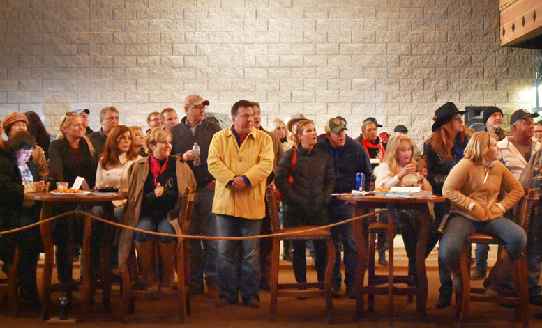 2017 Arabhorse Farm Tour Photos