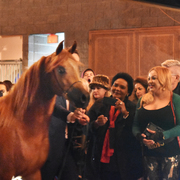 2017 Arabhorse Farm Tour Photos