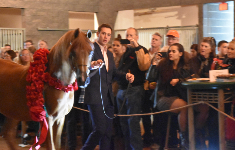 2017 Arabhorse Farm Tour Photos