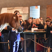 2017 Arabhorse Farm Tour Photos