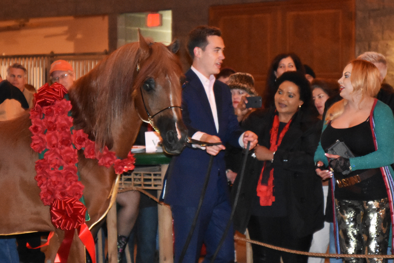 2017 Arabhorse Farm Tour Photos