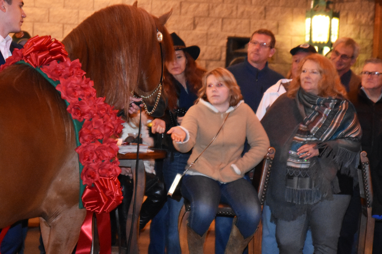 2017 Arabhorse Farm Tour Photos