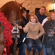 2017 Arabhorse Farm Tour Photos