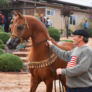 2017 Arabhorse Farm Tour Photos