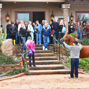 2017 Arabhorse Farm Tour Photos