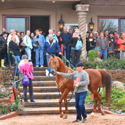 2017 Arabhorse Farm Tour Photos
