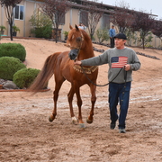2017 Arabhorse Farm Tour Photos
