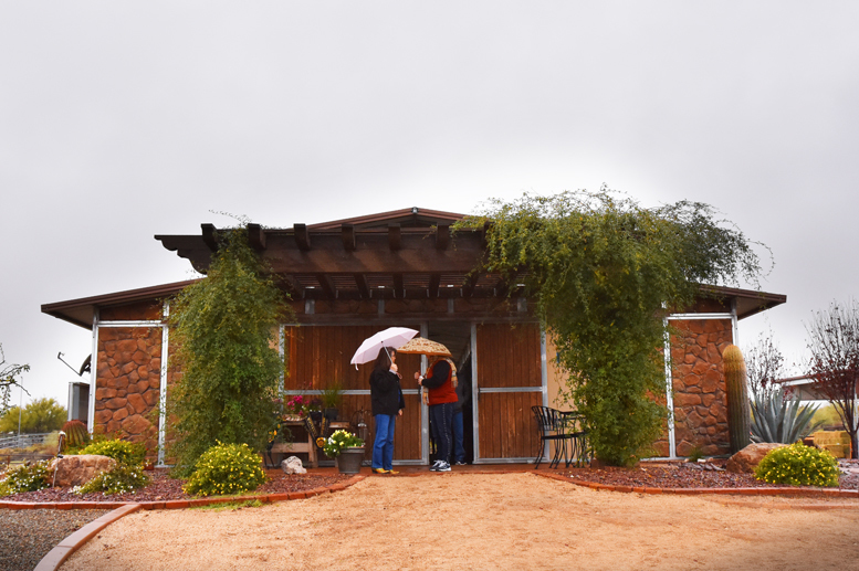 2017 Arabhorse Farm Tour Photos