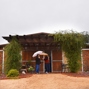 2017 Arabhorse Farm Tour Photos