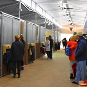 2017 Arabhorse Farm Tour Photos