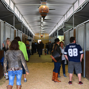 2017 Arabhorse Farm Tour Photos