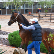 2017 Arabhorse Farm Tour Photos